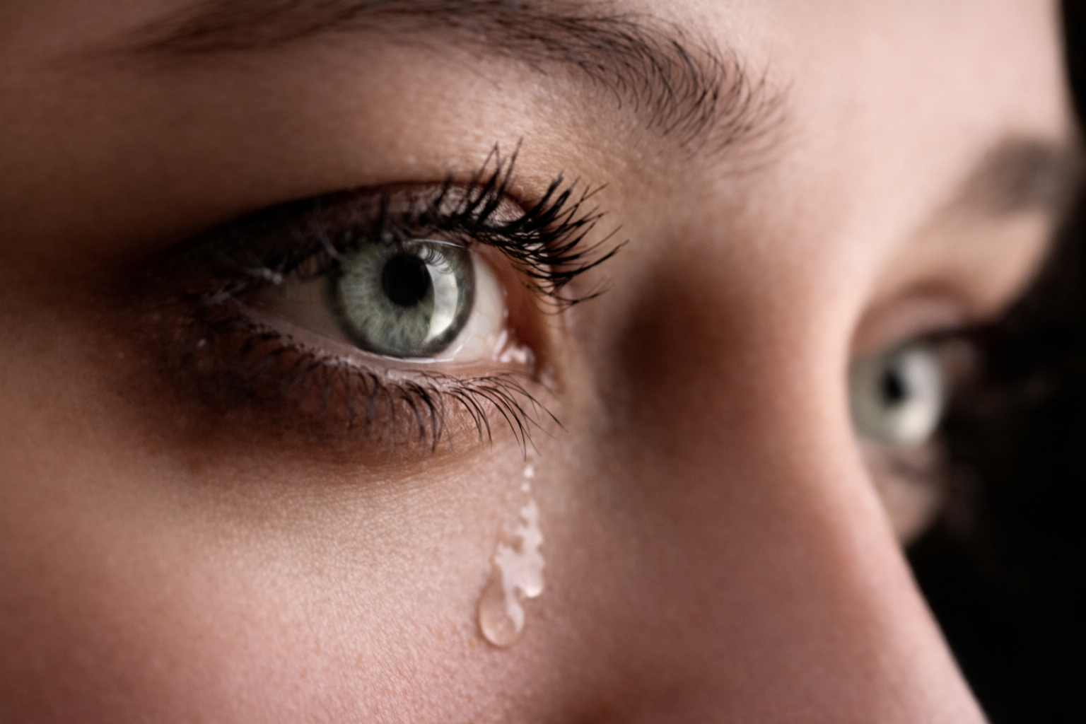 Orthopedics Department